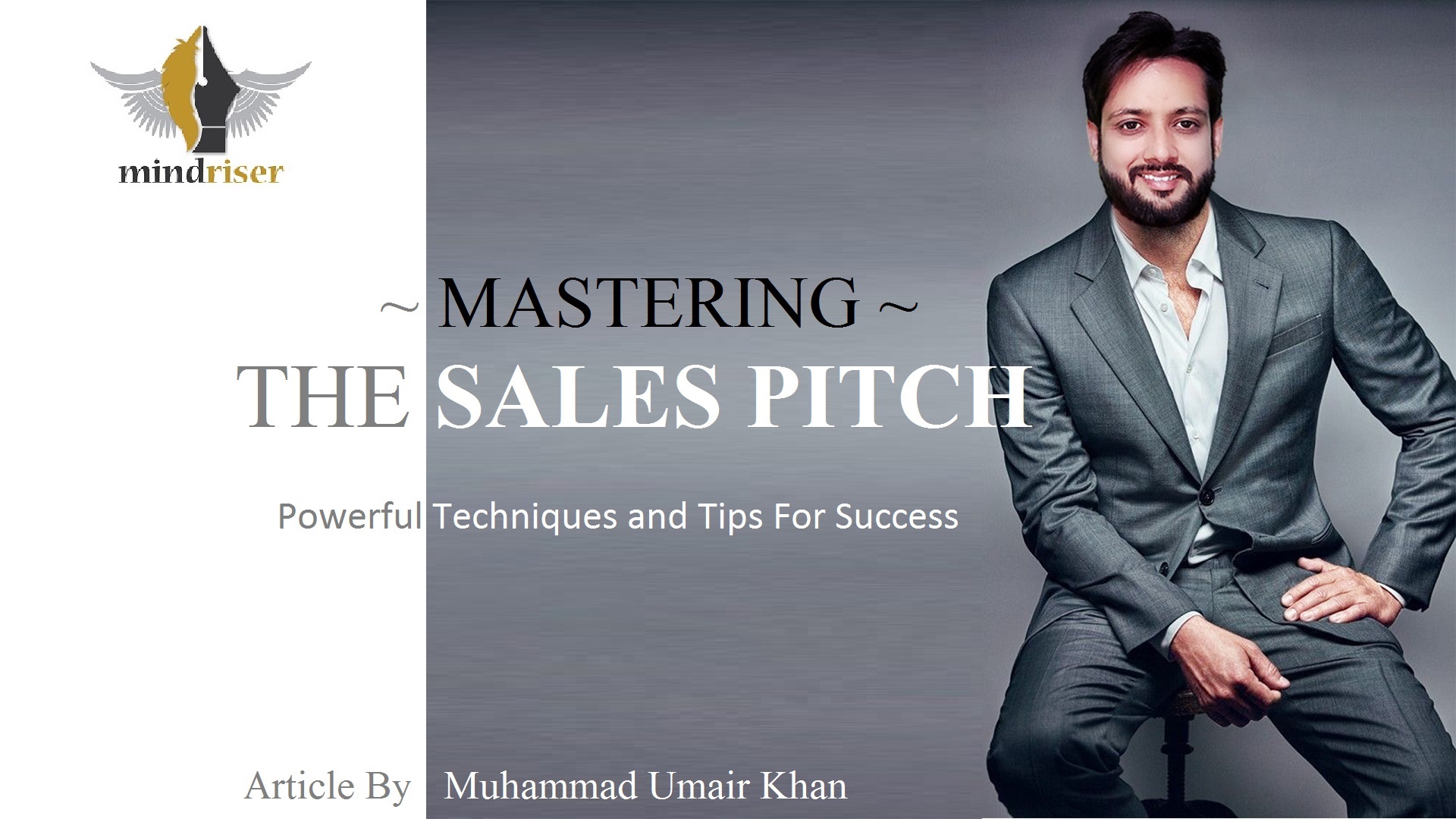 Mastering The Sales Pitch - Cover